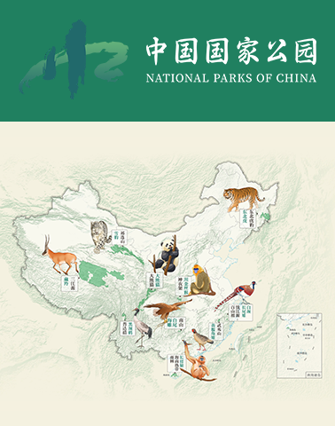 橫幅6 豎.png